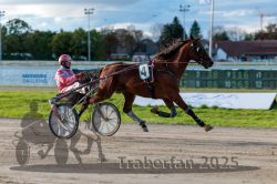 Dateiname=20250914_r11_051_R11_0065.jpg
Dateigröße=283KB
Abmessungen: 1000x667
hinzugefügt am: 16. September 2025 20250914_r11_051_R11_0065.jpg