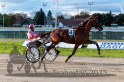 Dateiname=20250914_r11_052_R11_0066.jpg
Dateigröße=298KB
Abmessungen: 1000x667
hinzugefügt am: 16. September 2025 20250914_r11_052_R11_0066.jpg