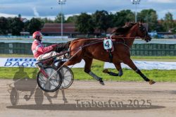 Dateiname=20250914_r11_053_R11_0068.jpg
Dateigröße=281KB
Abmessungen: 1000x667
hinzugefügt am: 16. September 2025 20250914_r11_053_R11_0068.jpg