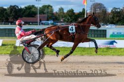 Dateiname=20250914_r11_054_R11_0069.jpg
Dateigröße=296KB
Abmessungen: 1000x667
hinzugefügt am: 16. September 2025 20250914_r11_054_R11_0069.jpg