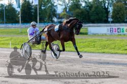 Dateiname=20250914_r11_056_R11_0072.jpg
Dateigröße=295KB
Abmessungen: 1000x667
hinzugefügt am: 16. September 2025 20250914_r11_056_R11_0072.jpg