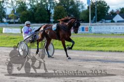 Dateiname=20250914_r11_057_R11_0074.jpg
Dateigröße=305KB
Abmessungen: 1000x667
hinzugefügt am: 16. September 2025 20250914_r11_057_R11_0074.jpg