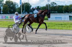 Dateiname=20250914_r11_059_R11_0076.jpg
Dateigröße=296KB
Abmessungen: 1000x667
hinzugefügt am: 16. September 2025 20250914_r11_059_R11_0076.jpg