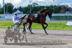 Dateiname=20250914_r11_060_R11_0077.jpg
Dateigröße=289KB
Abmessungen: 1000x667
hinzugefügt am: 16. September 2025 20250914_r11_060_R11_0077.jpg