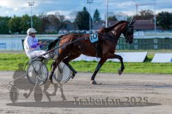 Dateiname=20250914_r11_062_R11_0079.jpg
Dateigröße=287KB
Abmessungen: 1000x667
hinzugefügt am: 16. September 2025 20250914_r11_062_R11_0079.jpg