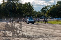 Dateiname=20250914_r11_064_R11_0081.jpg
Dateigröße=345KB
Abmessungen: 1000x667
hinzugefügt am: 16. September 2025 20250914_r11_064_R11_0081.jpg