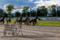 Dateiname=20250914_r11_067_R11_0086.jpg
Dateigröße=359KB
Abmessungen: 1000x667
hinzugefügt am: 16. September 2025 20250914_r11_067_R11_0086.jpg