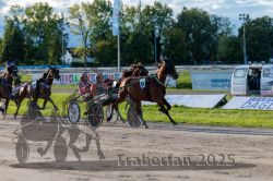 Dateiname=20250914_r11_068_R11_0087.jpg
Dateigröße=338KB
Abmessungen: 1000x667
hinzugefügt am: 16. September 2025 20250914_r11_068_R11_0087.jpg