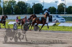 Dateiname=20250914_r11_070_R11_0089.jpg
Dateigröße=320KB
Abmessungen: 1000x667
hinzugefügt am: 16. September 2025 20250914_r11_070_R11_0089.jpg