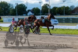 Dateiname=20250914_r11_071_R11_0090.jpg
Dateigröße=301KB
Abmessungen: 1000x667
hinzugefügt am: 16. September 2025 20250914_r11_071_R11_0090.jpg