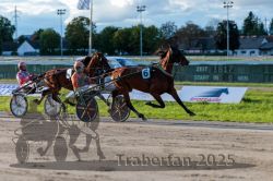 Dateiname=20250914_r11_072_R11_0091.jpg
Dateigröße=306KB
Abmessungen: 1000x667
hinzugefügt am: 16. September 2025 20250914_r11_072_R11_0091.jpg