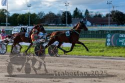 Dateiname=20250914_r11_073_R11_0092.jpg
Dateigröße=307KB
Abmessungen: 1000x667
hinzugefügt am: 16. September 2025 20250914_r11_073_R11_0092.jpg