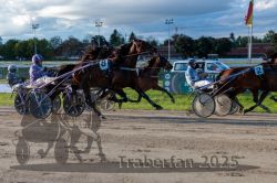 Dateiname=20250914_r11_075_R11_0096.jpg
Dateigröße=316KB
Abmessungen: 1000x667
hinzugefügt am: 16. September 2025 20250914_r11_075_R11_0096.jpg