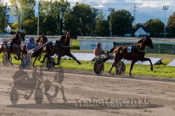 Dateiname=20250914_r11_097_R11_0122.jpg
Dateigröße=354KB
Abmessungen: 1000x667
hinzugefügt am: 16. September 2025 20250914_r11_097_R11_0122.jpg