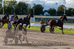 Dateiname=20250914_r11_098_R11_0123.jpg
Dateigröße=337KB
Abmessungen: 1000x667
hinzugefügt am: 16. September 2025 20250914_r11_098_R11_0123.jpg