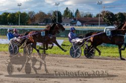 Dateiname=20250914_r11_101_R11_0127.jpg
Dateigröße=336KB
Abmessungen: 1000x667
hinzugefügt am: 16. September 2025 20250914_r11_101_R11_0127.jpg