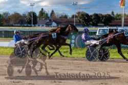 Dateiname=20250914_r11_102_R11_0128.jpg
Dateigröße=332KB
Abmessungen: 1000x667
hinzugefügt am: 16. September 2025 20250914_r11_102_R11_0128.jpg