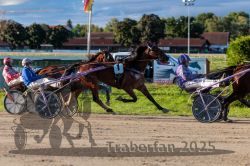 Dateiname=20250914_r11_104_R11_0130.jpg
Dateigröße=342KB
Abmessungen: 1000x667
hinzugefügt am: 16. September 2025 20250914_r11_104_R11_0130.jpg