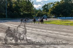 Dateiname=20250914_r11_105_R11_0133.jpg
Dateigröße=348KB
Abmessungen: 1000x667
hinzugefügt am: 16. September 2025 20250914_r11_105_R11_0133.jpg