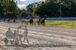 Dateiname=20250914_r11_106_R11_0134.jpg
Dateigröße=343KB
Abmessungen: 1000x667
hinzugefügt am: 16. September 2025 20250914_r11_106_R11_0134.jpg