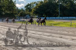 Dateiname=20250914_r11_107_R11_0135.jpg
Dateigröße=341KB
Abmessungen: 1000x667
hinzugefügt am: 16. September 2025 20250914_r11_107_R11_0135.jpg