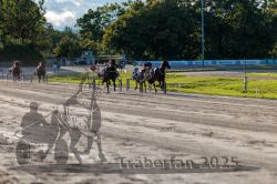 Dateiname=20250914_r11_108_R11_0137.jpg
Dateigröße=338KB
Abmessungen: 1000x667
hinzugefügt am: 16. September 2025 20250914_r11_108_R11_0137.jpg