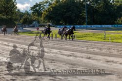 Dateiname=20250914_r11_109_R11_0138.jpg
Dateigröße=335KB
Abmessungen: 1000x667
hinzugefügt am: 16. September 2025 20250914_r11_109_R11_0138.jpg