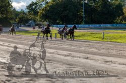 Dateiname=20250914_r11_110_R11_0139.jpg
Dateigröße=333KB
Abmessungen: 1000x667
hinzugefügt am: 16. September 2025 20250914_r11_110_R11_0139.jpg