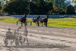 Dateiname=20250914_r11_112_R11_0142.jpg
Dateigröße=339KB
Abmessungen: 1000x667
hinzugefügt am: 16. September 2025 20250914_r11_112_R11_0142.jpg