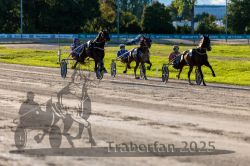 Dateiname=20250914_r11_115_R11_0145.jpg
Dateigröße=339KB
Abmessungen: 1000x667
hinzugefügt am: 16. September 2025 20250914_r11_115_R11_0145.jpg