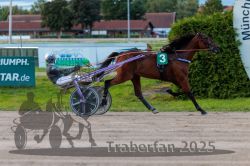 Dateiname=20250914_r13_121_R13_0143.jpg
Dateigröße=294KB
Abmessungen: 1000x667
hinzugefügt am: 16. September 2025 20250914_r13_121_R13_0143.jpg