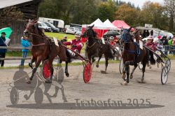 Dateiname=20251005_r01_080_R01_0168.jpg
Dateigröße=382KB
Abmessungen: 1000x667
hinzugefügt am: 06. Oktober 2025 20251005_r01_080_R01_0168.jpg