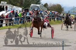 Dateiname=20251005_r01_091_R01_0200.jpg
Dateigröße=387KB
Abmessungen: 1000x667
hinzugefügt am: 06. Oktober 2025 20251005_r01_091_R01_0200.jpg