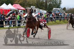 Dateiname=20251005_r01_094_R01_0208.jpg
Dateigröße=379KB
Abmessungen: 1000x667
hinzugefügt am: 06. Oktober 2025 20251005_r01_094_R01_0208.jpg