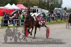 Dateiname=20251005_r01_095_R01_0209.jpg
Dateigröße=380KB
Abmessungen: 1000x667
hinzugefügt am: 06. Oktober 2025 20251005_r01_095_R01_0209.jpg