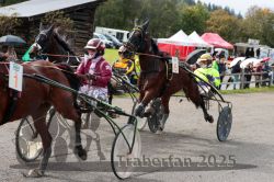 Dateiname=20251005_r01_107_R01_0232.jpg
Dateigröße=355KB
Abmessungen: 1000x667
hinzugefügt am: 06. Oktober 2025 20251005_r01_107_R01_0232.jpg