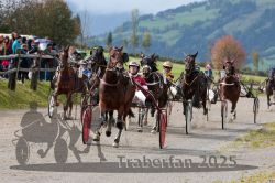 Dateiname=20251005_r01_108_R01_0233.jpg
Dateigröße=375KB
Abmessungen: 1000x667
hinzugefügt am: 06. Oktober 2025 20251005_r01_108_R01_0233.jpg