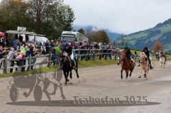 Dateiname=20251005_r03_049_R03_0071.jpg
Dateigröße=361KB
Abmessungen: 1000x667
hinzugefügt am: 06. Oktober 2025 20251005_r03_049_R03_0071.jpg