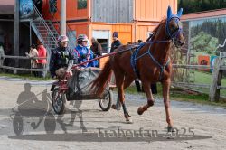 Dateiname=20251005_r04_040_R04_0080.jpg
Dateigröße=383KB
Abmessungen: 1000x667
hinzugefügt am: 06. Oktober 2025 20251005_r04_040_R04_0080.jpg