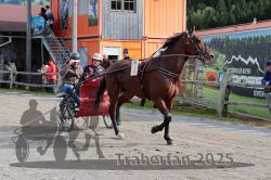 Dateiname=20251005_r04_043_R04_0084.jpg
Dateigröße=374KB
Abmessungen: 1000x667
hinzugefügt am: 06. Oktober 2025 20251005_r04_043_R04_0084.jpg