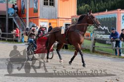 Dateiname=20251005_r04_044_R04_0085.jpg
Dateigröße=380KB
Abmessungen: 1000x667
hinzugefügt am: 06. Oktober 2025 20251005_r04_044_R04_0085.jpg