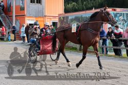 Dateiname=20251005_r04_045_R04_0087.jpg
Dateigröße=391KB
Abmessungen: 1000x667
hinzugefügt am: 06. Oktober 2025 20251005_r04_045_R04_0087.jpg