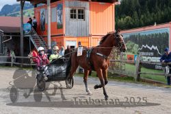 Dateiname=20251005_r04_046_R04_0089.jpg
Dateigröße=364KB
Abmessungen: 1000x667
hinzugefügt am: 06. Oktober 2025 20251005_r04_046_R04_0089.jpg