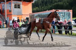 Dateiname=20251005_r04_048_R04_0092.jpg
Dateigröße=373KB
Abmessungen: 1000x667
hinzugefügt am: 06. Oktober 2025 20251005_r04_048_R04_0092.jpg