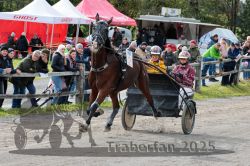 Dateiname=20251005_r04_050_R04_0096.jpg
Dateigröße=379KB
Abmessungen: 1000x667
hinzugefügt am: 06. Oktober 2025 20251005_r04_050_R04_0096.jpg