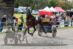 Dateiname=20251005_r04_052_R04_0099.jpg
Dateigröße=381KB
Abmessungen: 1000x667
hinzugefügt am: 06. Oktober 2025 20251005_r04_052_R04_0099.jpg