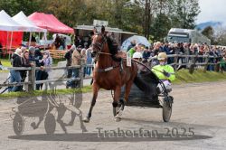 Dateiname=20251005_r04_057_R04_0107.jpg
Dateigröße=362KB
Abmessungen: 1000x667
hinzugefügt am: 06. Oktober 2025 20251005_r04_057_R04_0107.jpg