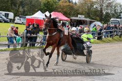 Dateiname=20251005_r04_058_R04_0109.jpg
Dateigröße=397KB
Abmessungen: 1000x667
hinzugefügt am: 06. Oktober 2025 20251005_r04_058_R04_0109.jpg