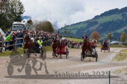 Dateiname=20251005_r04_139_R04_0215.jpg
Dateigröße=340KB
Abmessungen: 1000x667
hinzugefügt am: 06. Oktober 2025 20251005_r04_139_R04_0215.jpg