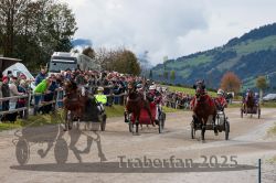 Dateiname=20251005_r04_140_R04_0216.jpg
Dateigröße=341KB
Abmessungen: 1000x667
hinzugefügt am: 06. Oktober 2025 20251005_r04_140_R04_0216.jpg